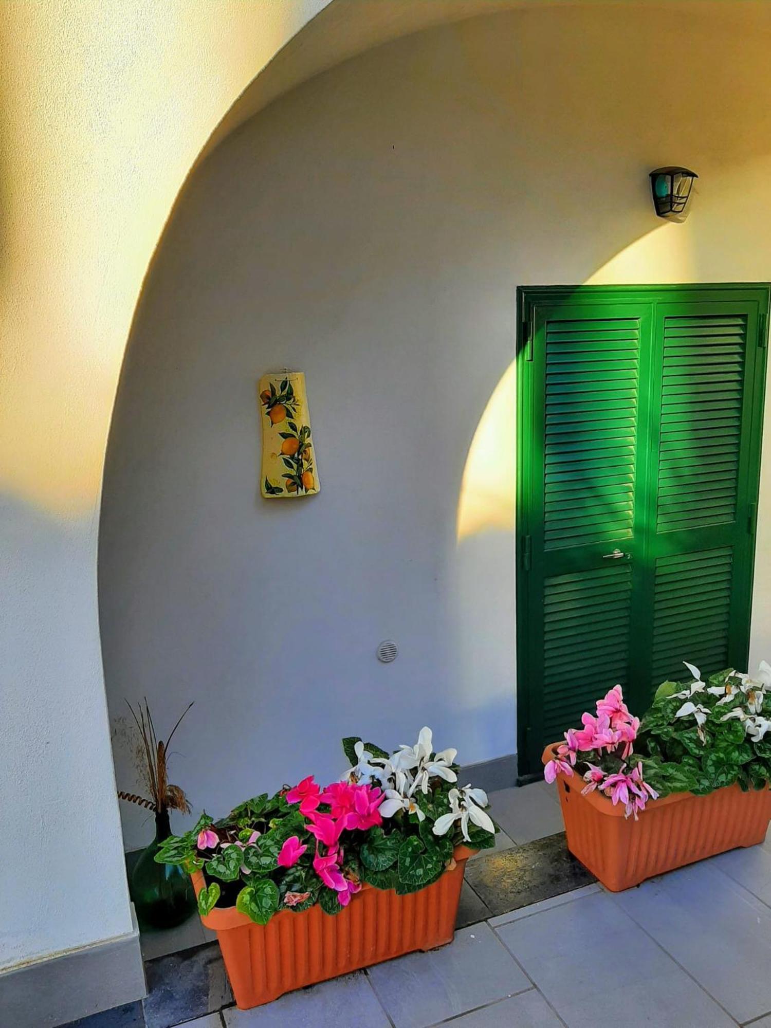 Lemon Tree Casa Vacanze Nel Verde Торре-Аннунциата Экстерьер фото